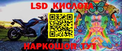герыч Краснодар
