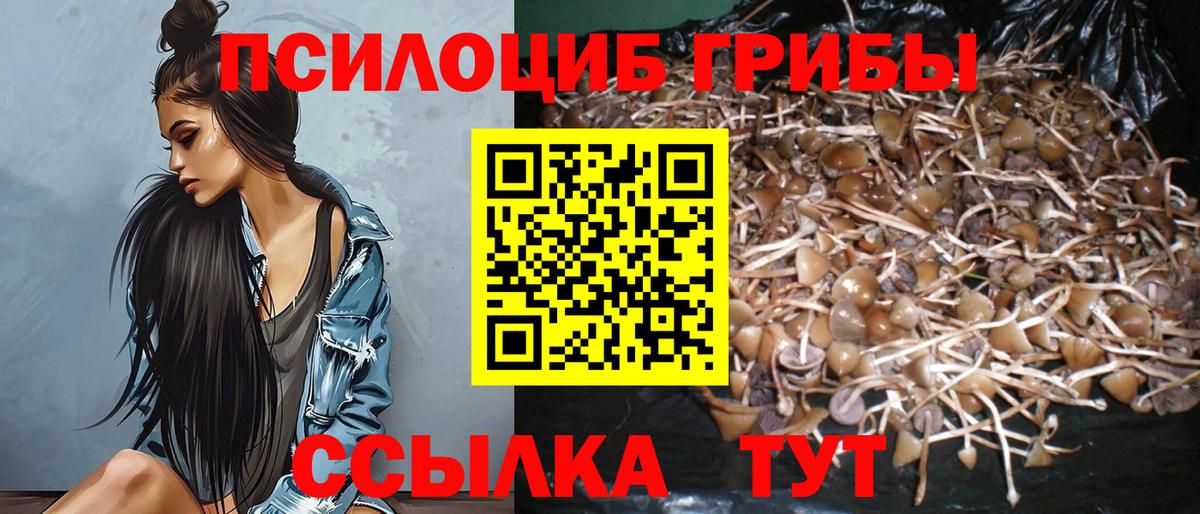 Ижевск  Псилоцибиновые грибы Cubensis  Вход с VPN 